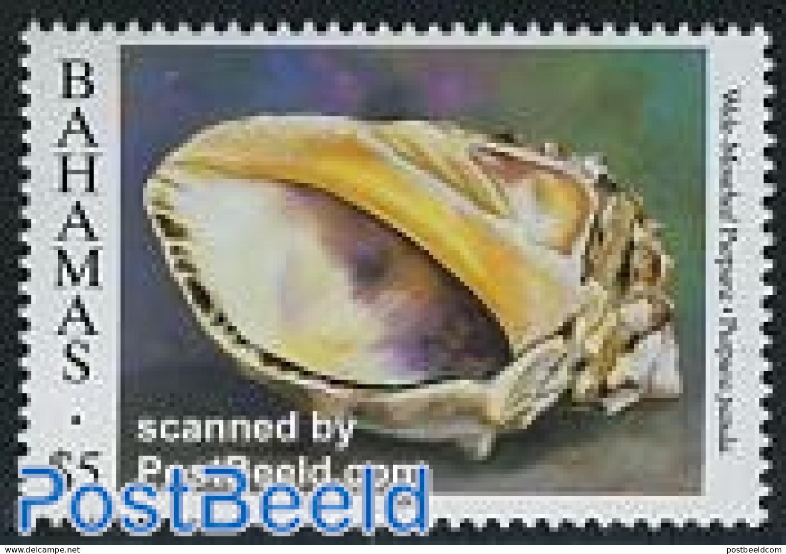 Bahamas 1997 Stamp Out Of Set, Mint NH, Nature - Shells & Crustaceans - Maritiem Leven