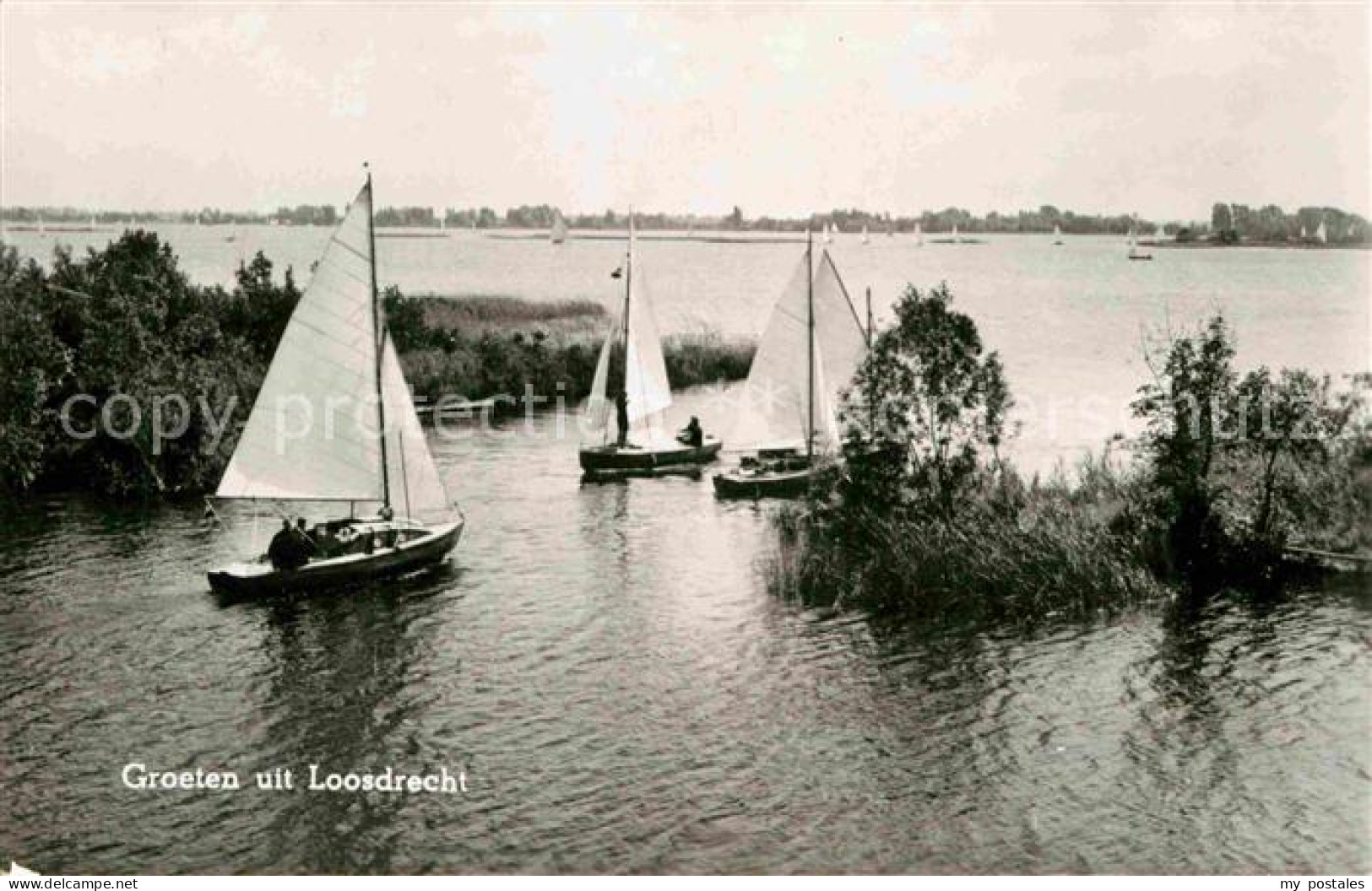 72640489 Loosdrecht Segelboot  Loosdrecht - Autres & Non Classés