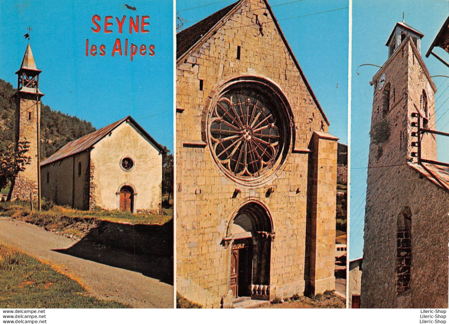 SEYNE-LES-ALPES ( 04 ) - Multivues - Éditions J. CELLARD - Autres & Non Classés