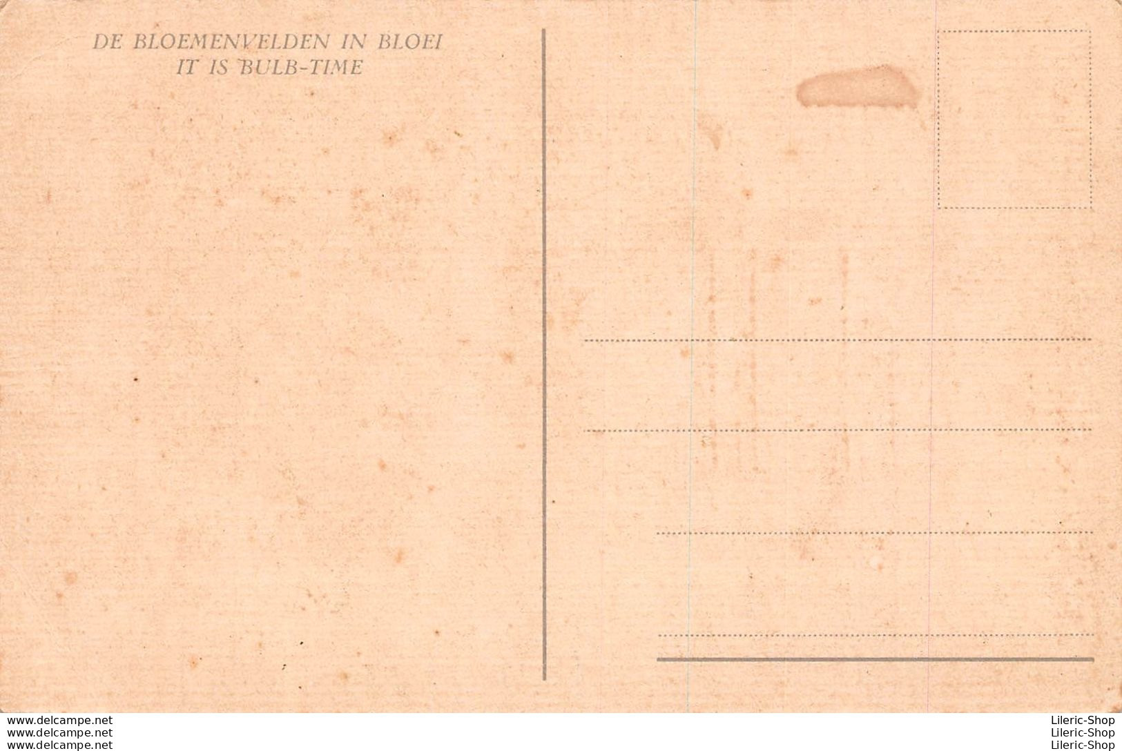 PAYS-BAS - DE BLOEMENVELDEN IN BLOEI - IT IS BULB-TIME - Autres & Non Classés