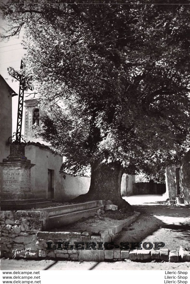 [04] LE REVEST-DU-BION - L'ORMEAU DE 800 ANS PLANTÉ PAR LES MOINES DE CLUNY - Cpsm GF Dentelée ± 1960 ♥♥♥ - Autres & Non Classés