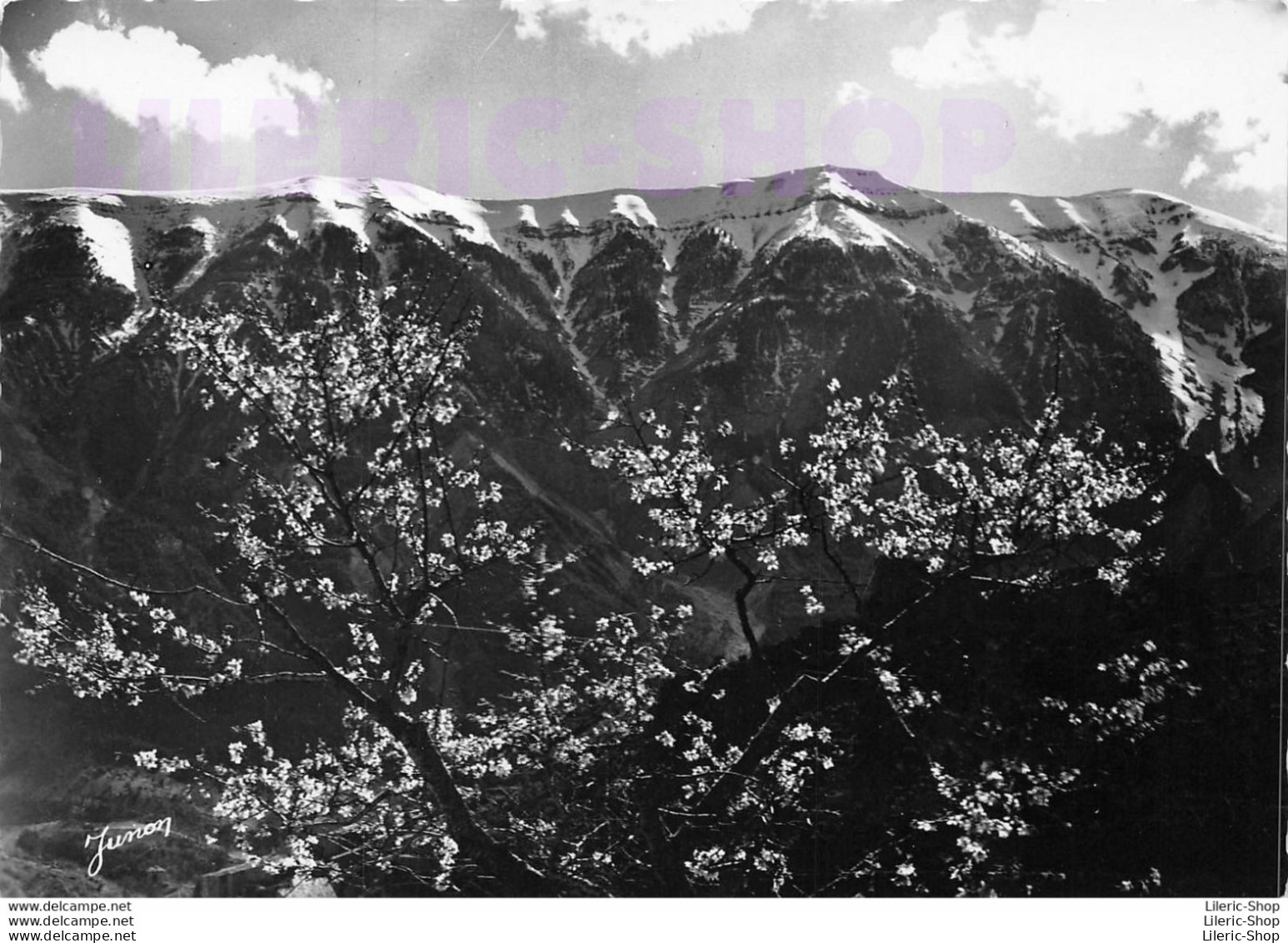 MONT-VENTOUX (84) CPSM ±1960 - Face Nord - Le Printemps - Ed. MEYER - Autres & Non Classés