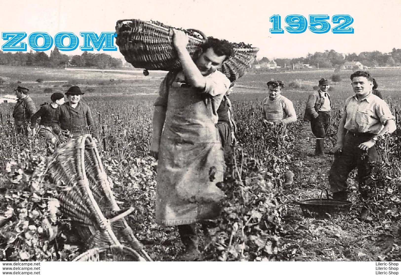 Vendanges En Bourgogne - 1952 - Vigne Vin Métier Jarlot Benne - " Quel Souci Pour Le Porteur " Éd. CIM - Phot. COMBIER - Bourgogne