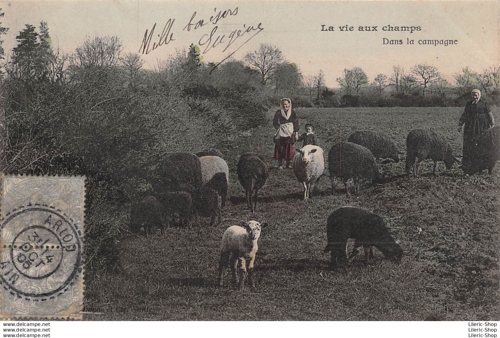 Cpa 1905 LA VIE AUX CHAMPS Dans La Campagne Gardeuses De Moutons Bergères ▬ Série B Dugas Et Cie - Elevage