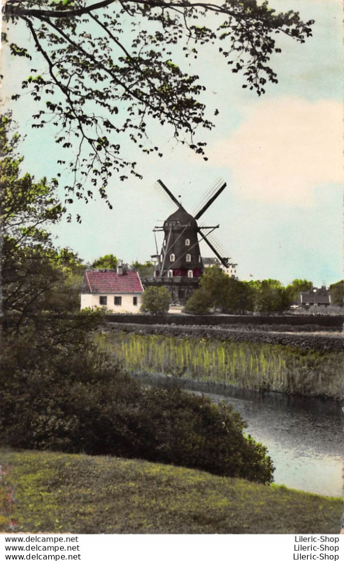 VINTAGE POSTCARD 1959 -  MALMÖ - Slottsmöllan - The Mill En Castle Park - Moulin - Sweden