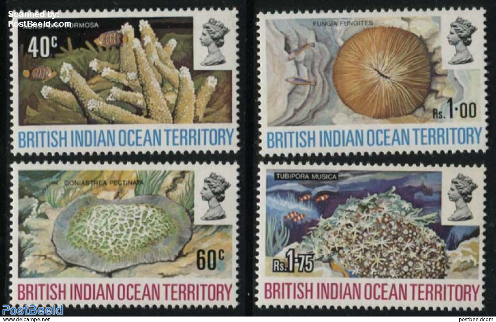 British Indian Ocean 1972 Corals 4v, Mint NH, Nature - Shells & Crustaceans - Maritiem Leven