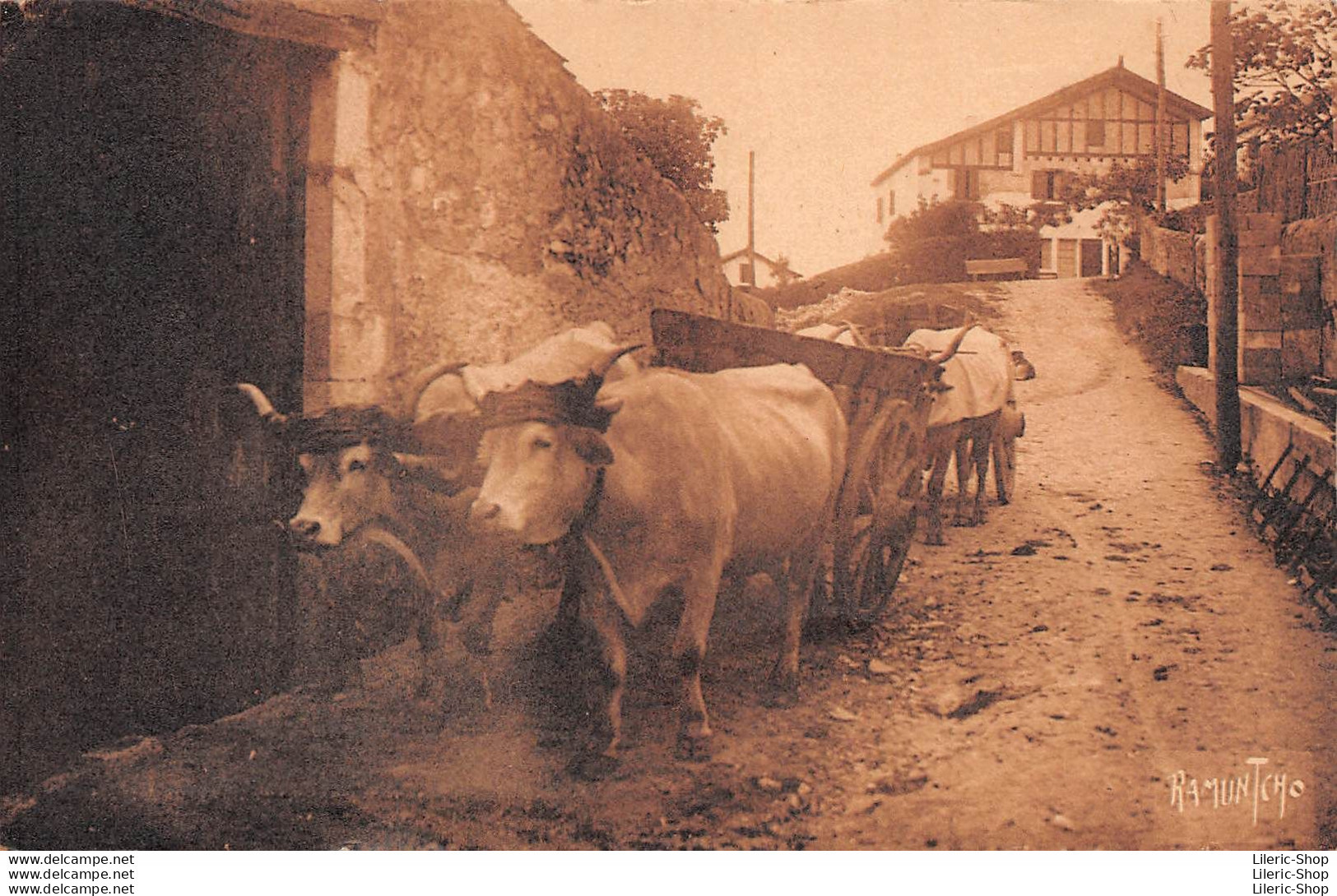 Au Pays Basque ▬ Attelage De Bœufs ▬ 15135-14230 Editions Artistiques Raymond Bergevin " RamunTcho" - Autres & Non Classés