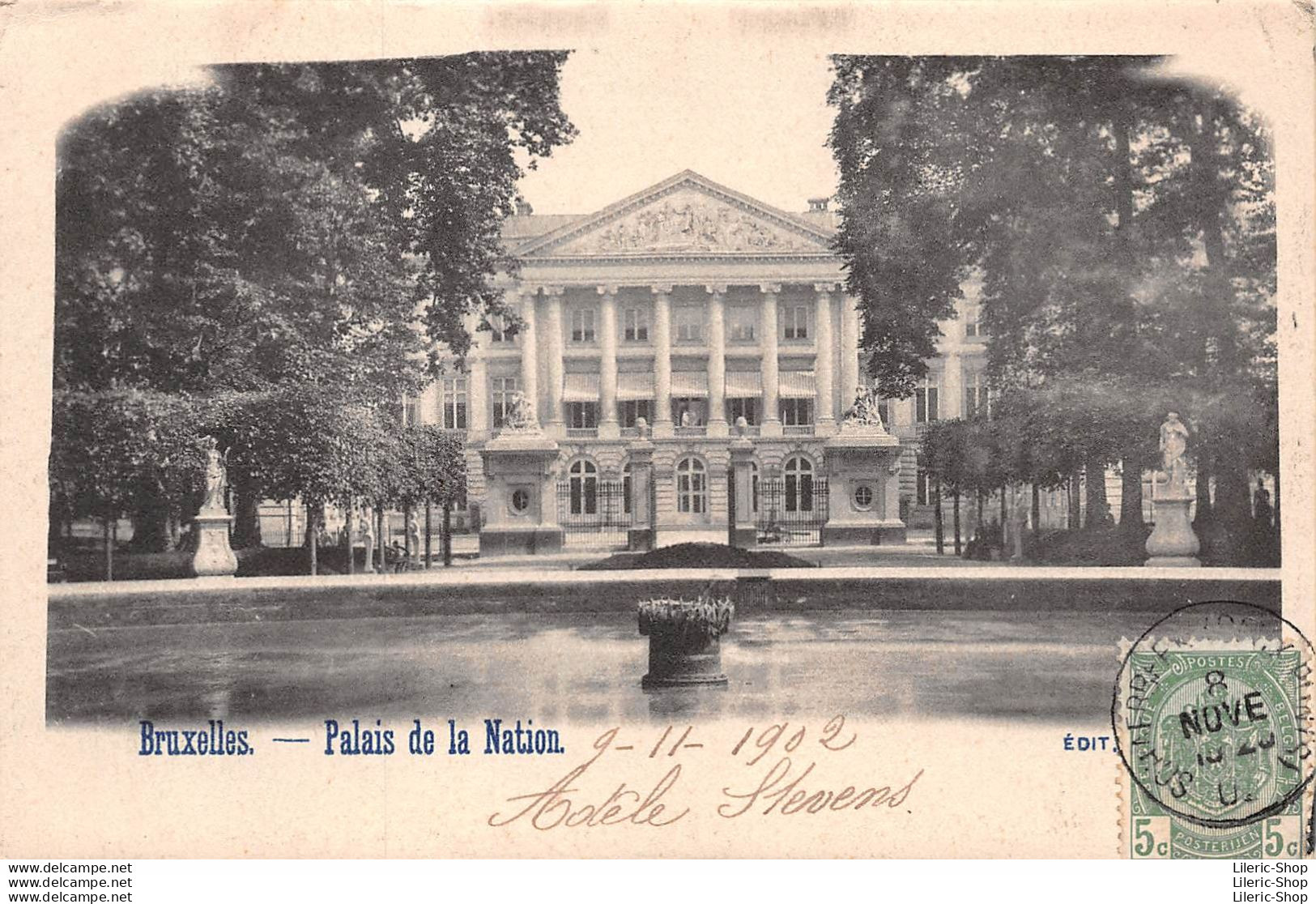 BRUSSEL BRUXELLES CPA  1902 - PALAIS DE LA NATION Siège Du Sénat Et De La Chambre Des Représentants  - Monuments