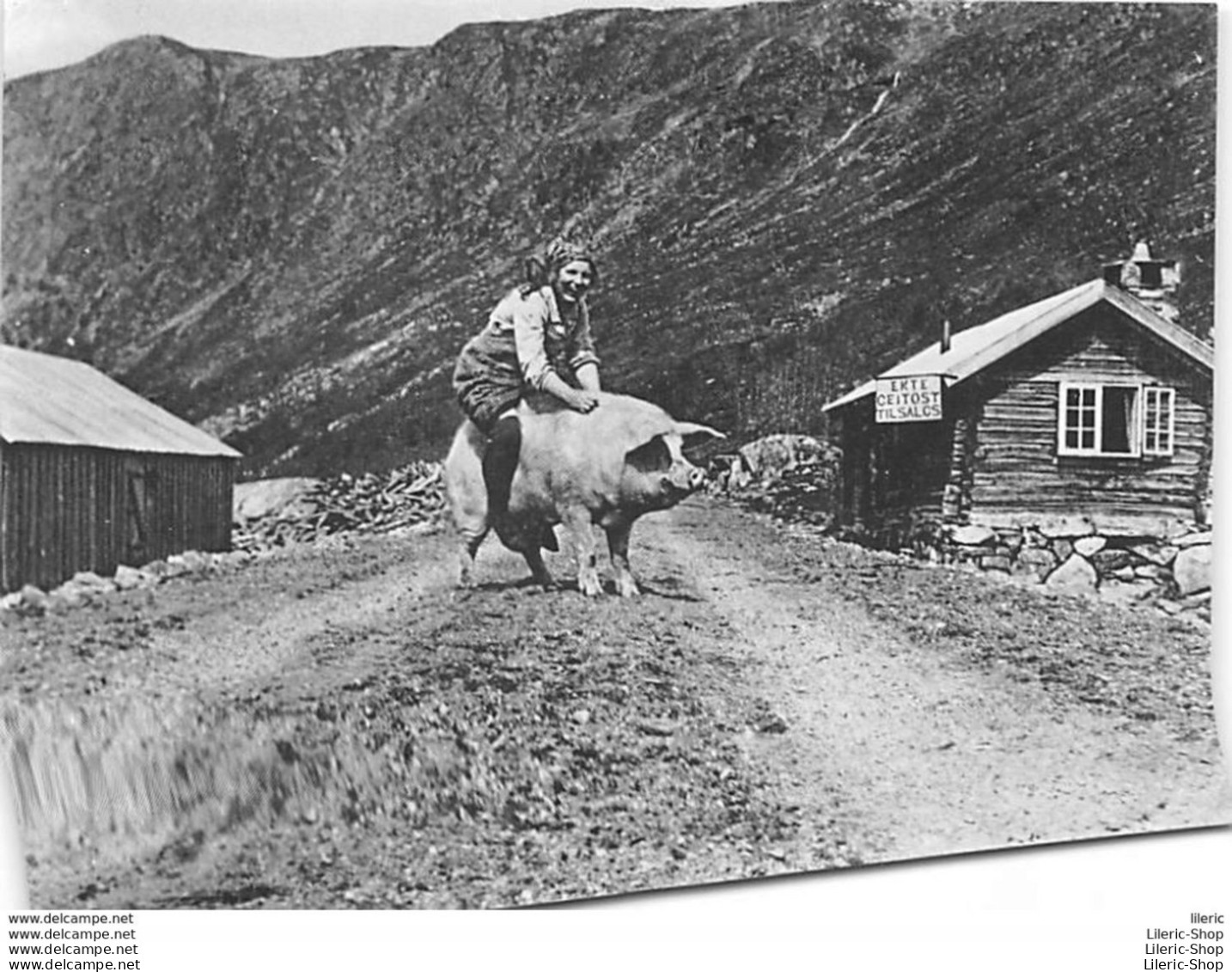 ± 1960 SETERJENTENS FRIDAG MED RIDETUR PÅ GRIS BUTIK EKTE GEITOST TIL SALGS - Foto NORMANN - Norvège