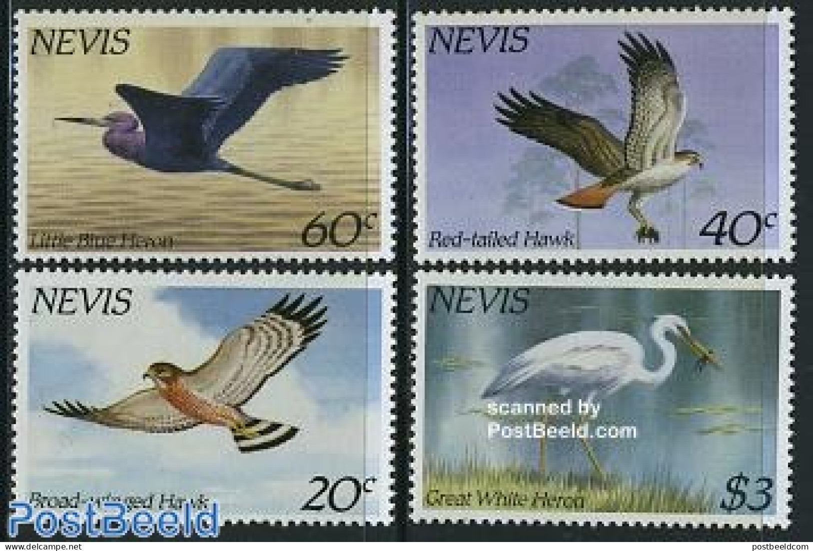 Nevis 1985 Birds 4v, Mint NH, Nature - Birds - Birds Of Prey - St.Kitts En Nevis ( 1983-...)