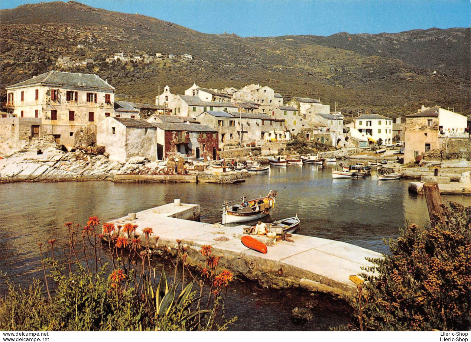 [2B] CENTURI Vue Générale, Le Port. - 1980 - Other & Unclassified