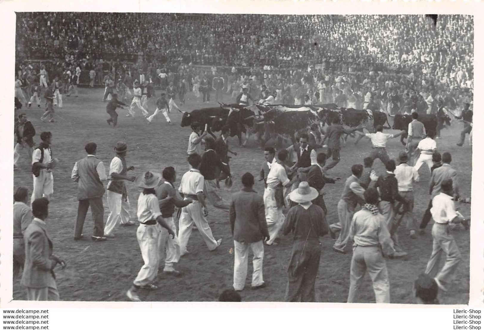 ± 1950 Fotografía 132X84 ►J. GALLE - Pamplona ► Encierro De Los Toros - Sonstige & Ohne Zuordnung