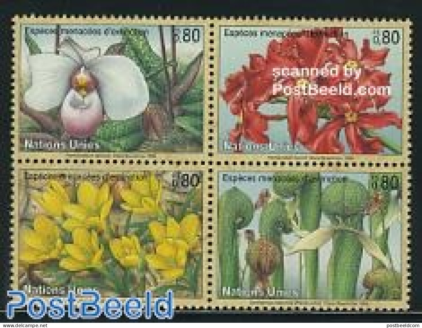 United Nations, Geneva 1996 Flowers 4v [+], Mint NH, Nature - Flowers & Plants - Andere & Zonder Classificatie