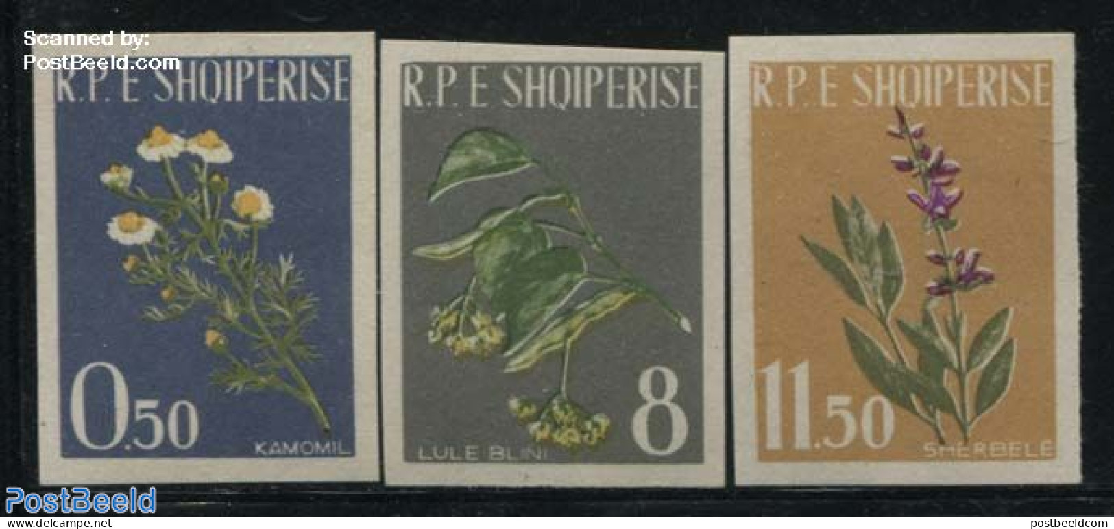 Albania 1962 Flowers 3v Imperforated, Mint NH, Health - Nature - Health - Flowers & Plants - Albanie