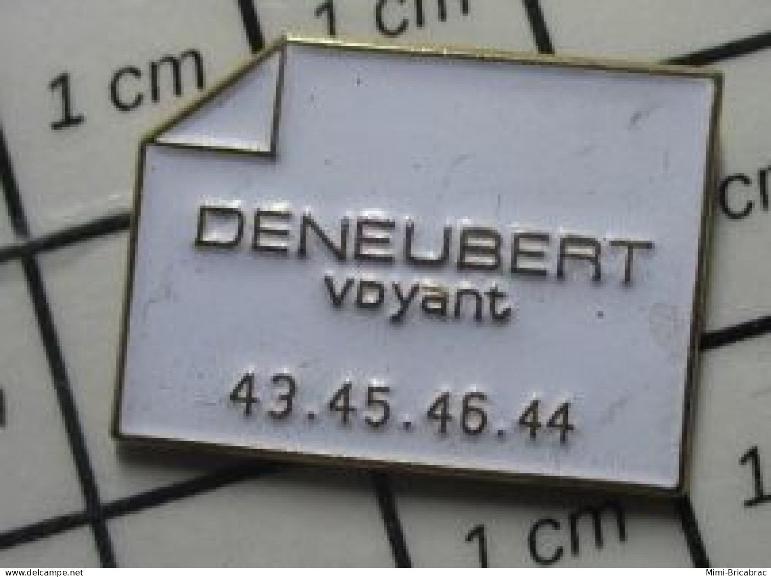 711e Pin's Pins : BEAU ET RARE : MARQUES / CARTE DE VISITE DENEUBERT VOYANT - Trademarks