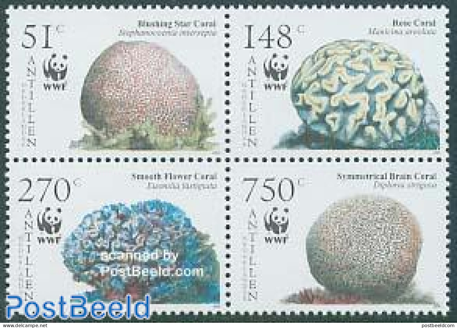 Netherlands Antilles 2005 WWF, Corals 4v [+], Mint NH, Nature - World Wildlife Fund (WWF) - Sonstige & Ohne Zuordnung