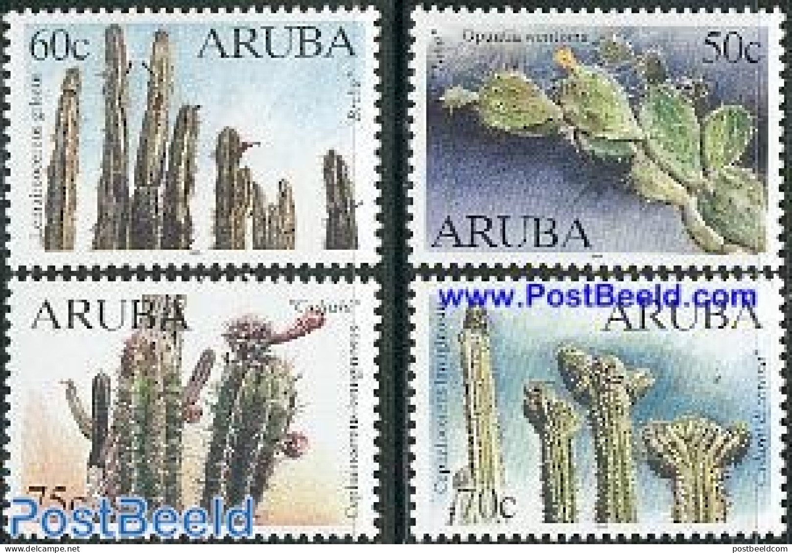 Aruba 1999 Cacti 4v, Mint NH, Nature - Cacti - Flowers & Plants - Sukkulenten