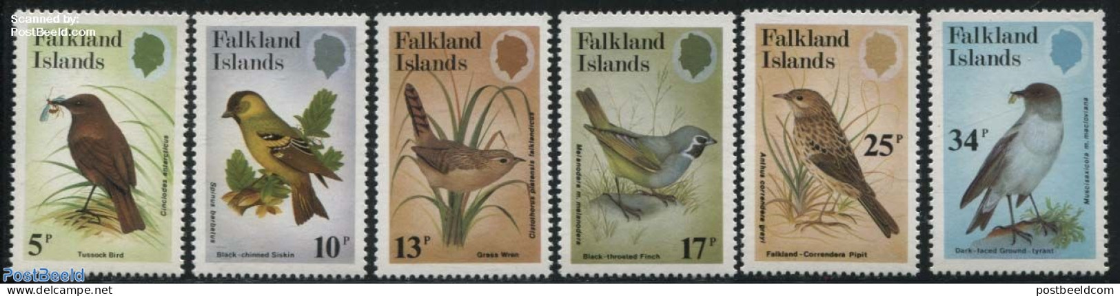 Falkland Islands 1982 Birds 6v, Mint NH, Nature - Birds - Other & Unclassified