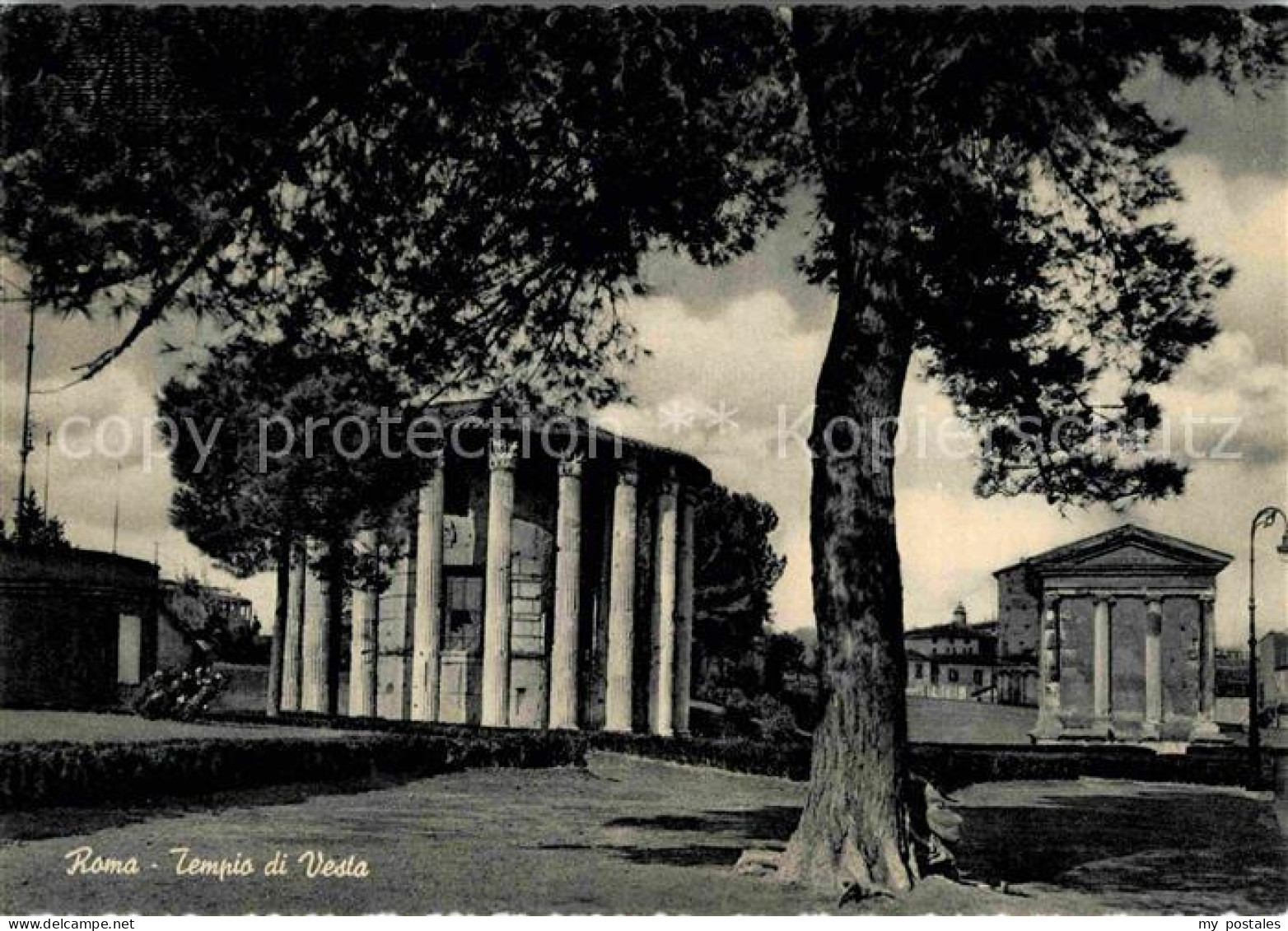 72638174 Roma Rom Tempio Di Vesta  - Altri & Non Classificati