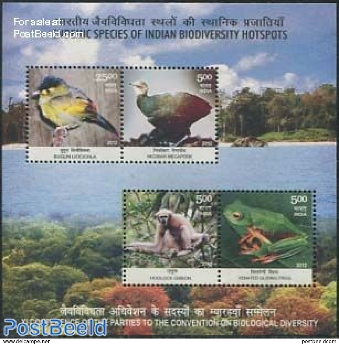 India 2012 Endemic Species Of Biodiversity Hotspots S/s, Mint NH, Nature - Animals (others & Mixed) - Birds - Frogs & .. - Unused Stamps