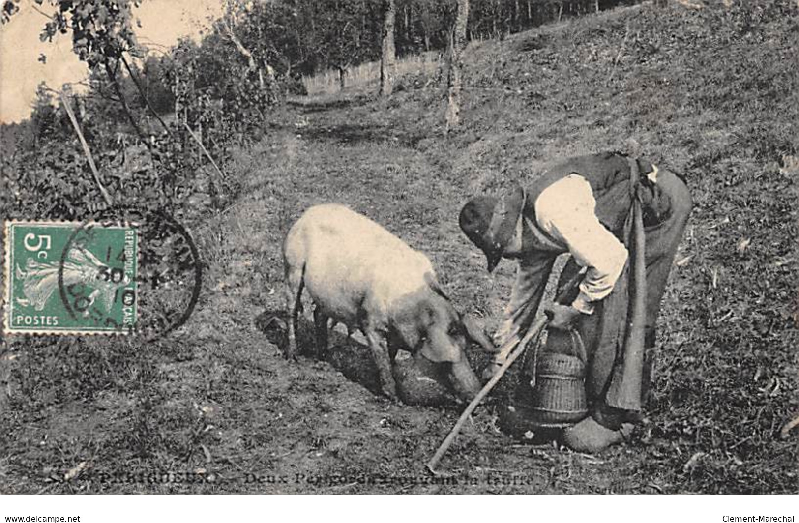 PERIGUEUX - Chercheurs De Truffes - Très Bon état - Périgueux