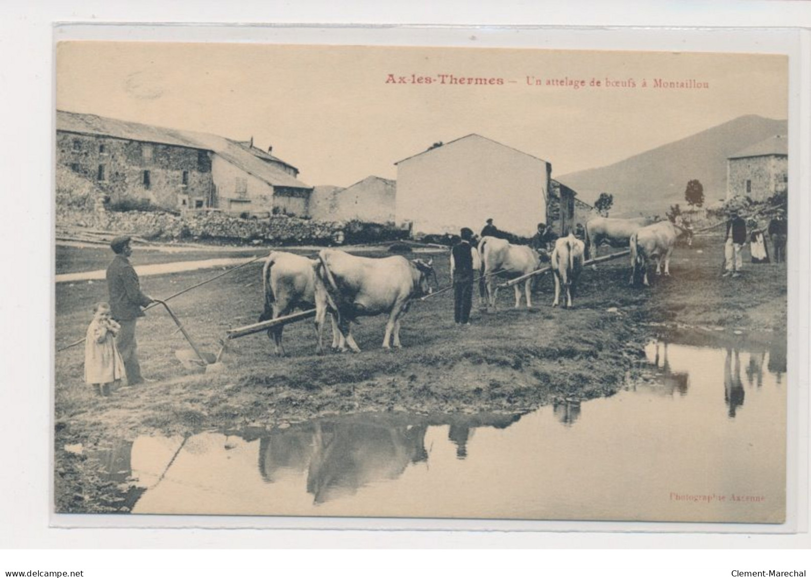 AX LES THERMES - Un Attelage Boeufs à Montaillou - Très Bon état - Autres & Non Classés