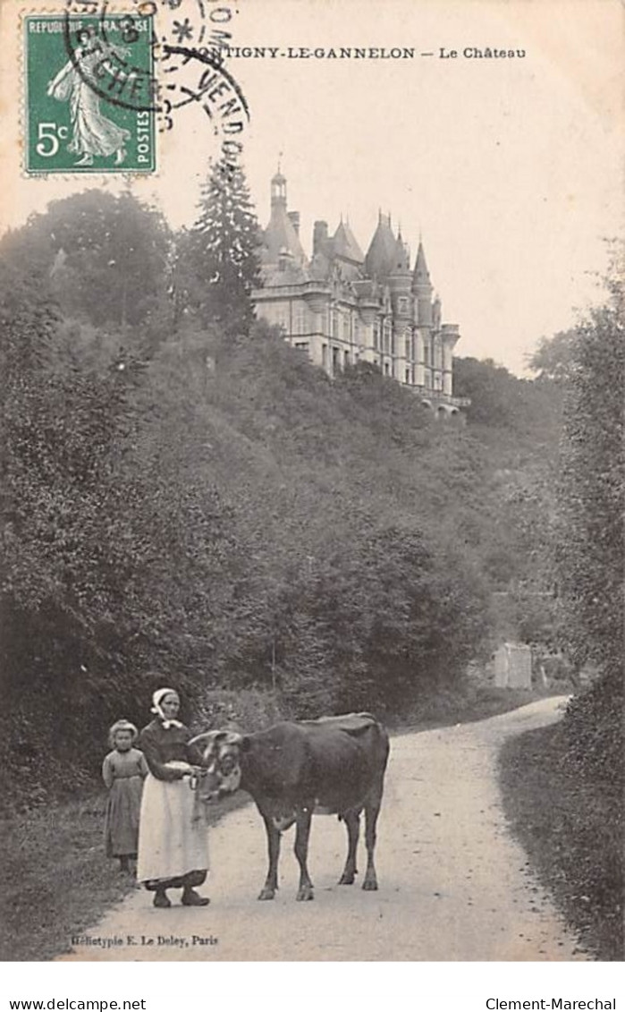 MONTIGNY LE GANNELON - Le Château - Très Bon état - Montigny-le-Gannelon