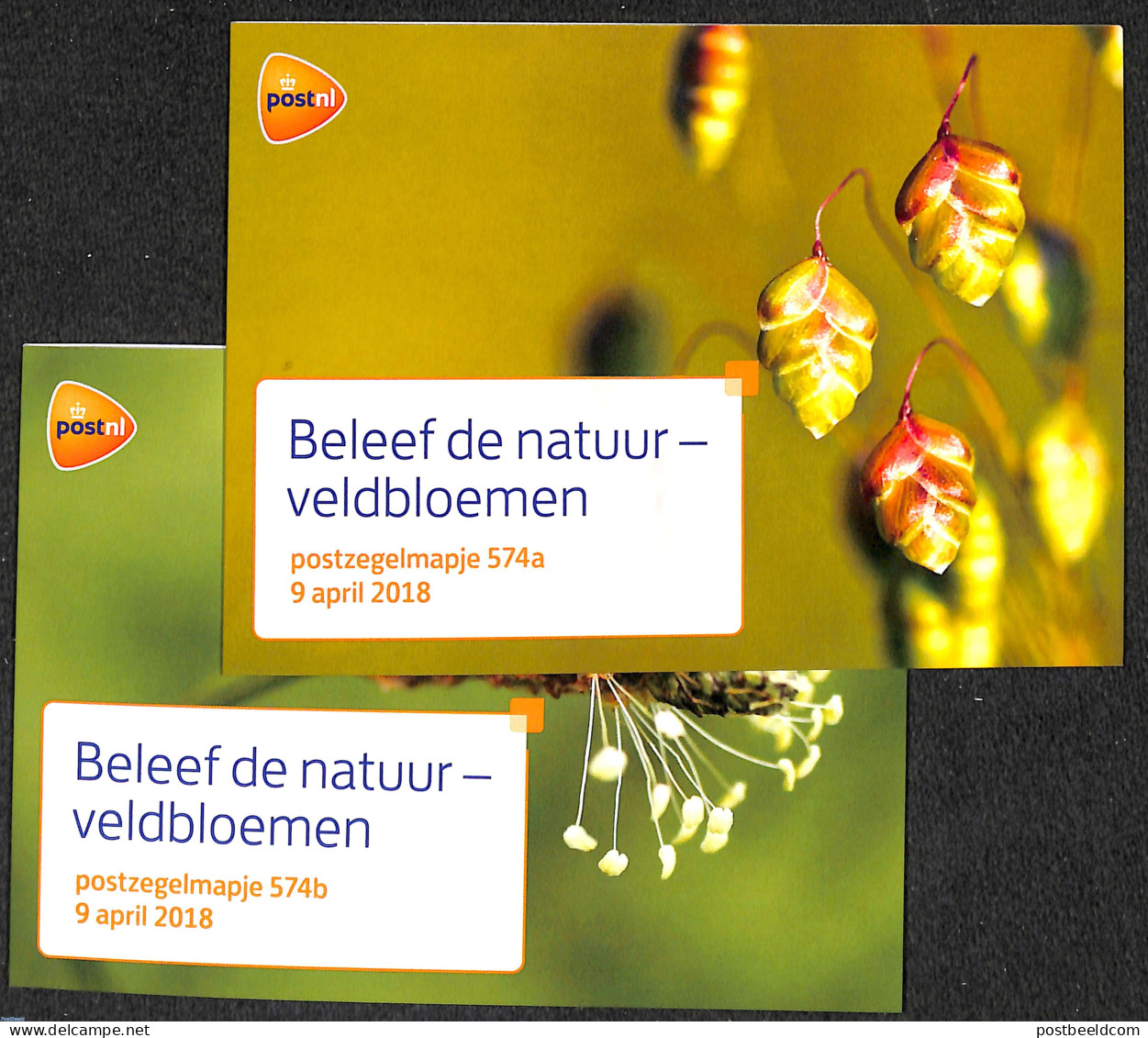 Netherlands 2018 Flowers In The Field, Presentation Pack 574a+b, Mint NH, Nature - Flowers & Plants - Ungebraucht