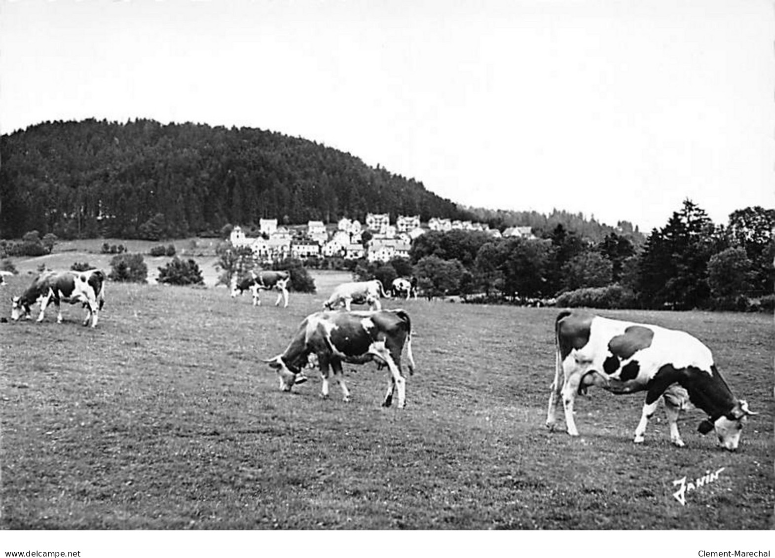 Pâturages Comtois - Très Bon état - Sonstige & Ohne Zuordnung