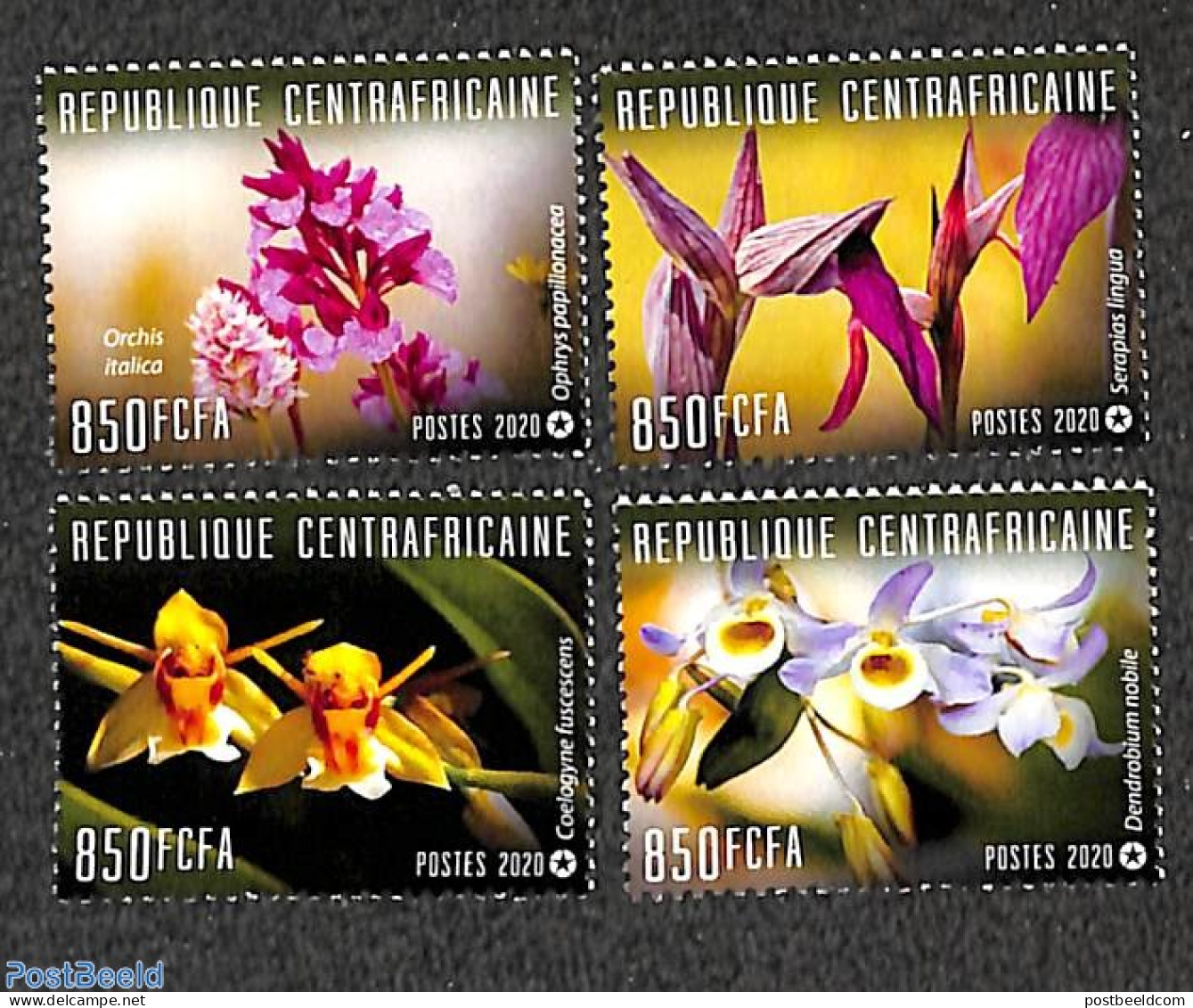 Central Africa 2020 Orchids 4v, Mint NH, Nature - Flowers & Plants - Orchids - Centraal-Afrikaanse Republiek