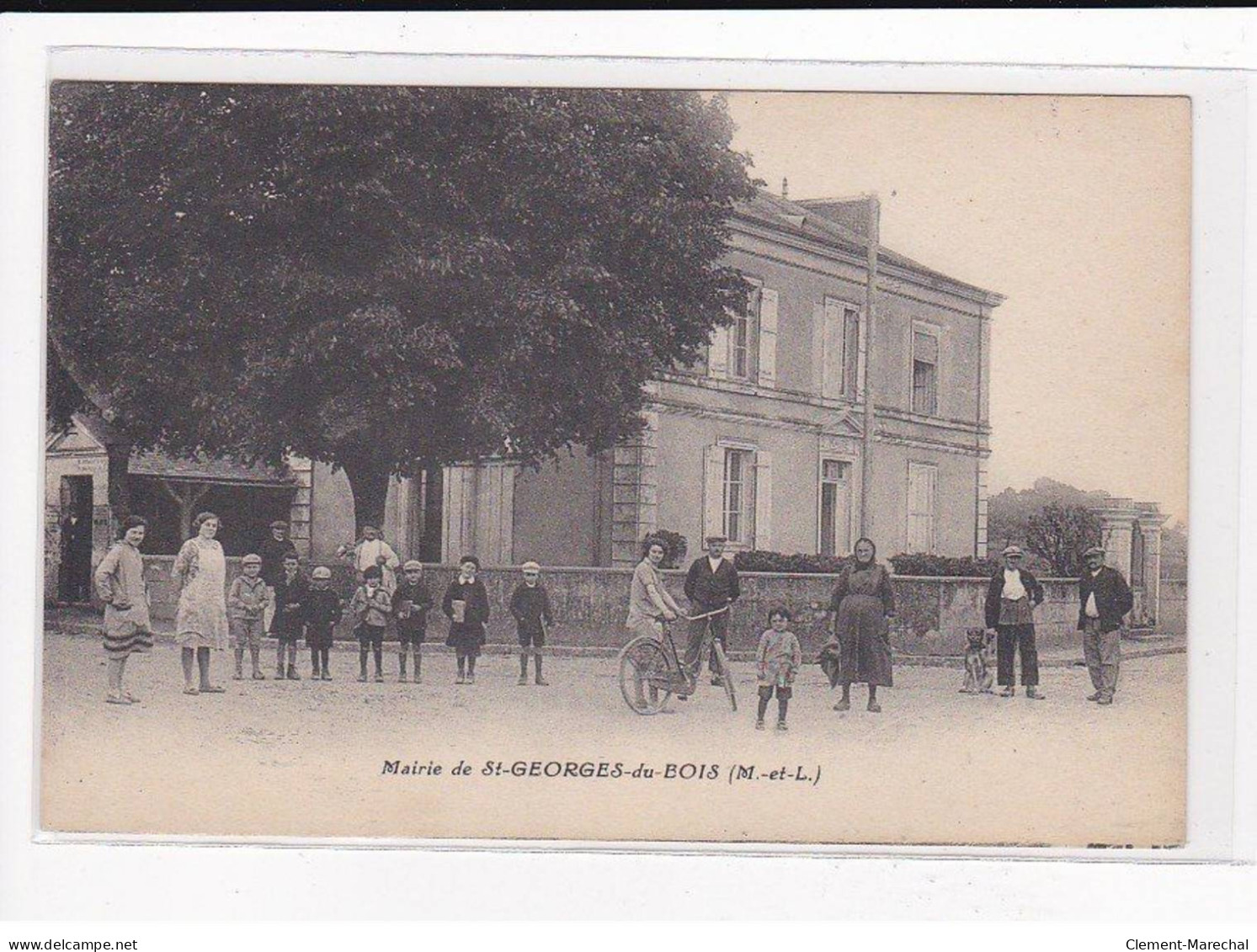 ST-GEORGES-du-BOIS : La Mairie - Très Bon état - Autres & Non Classés