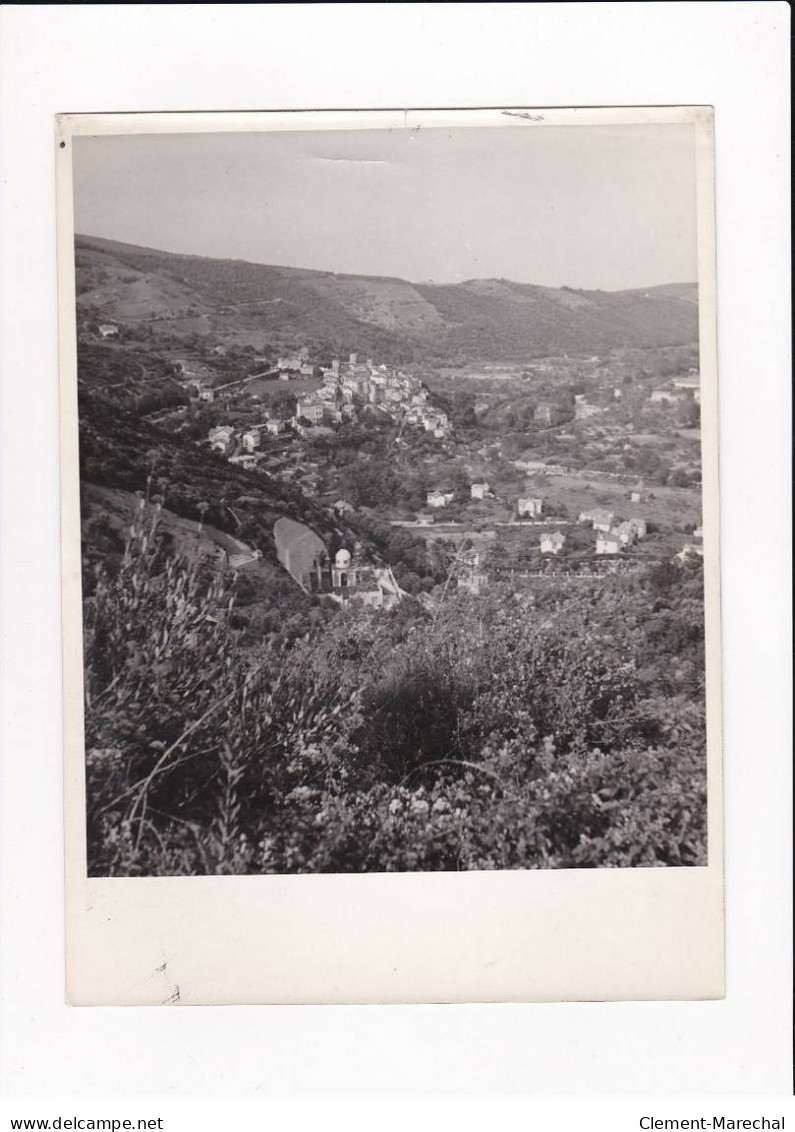 Pyrénées-Orientales, Palalde, Vue Générale, Environ 24x18cm, Années 1920-30 - état - Lieux