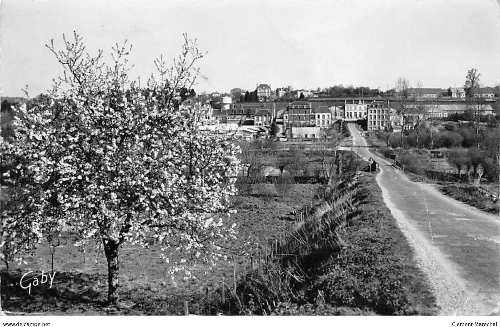 LAIGLE - Rue Du Paradis, Pommier En Fleurs - Très Bon état - L'Aigle