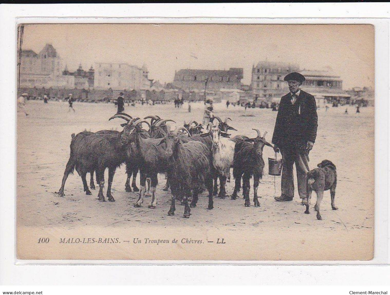 MALO LES BAINS : Un Troupeau De Chèvres - Très Bon état - Malo Les Bains