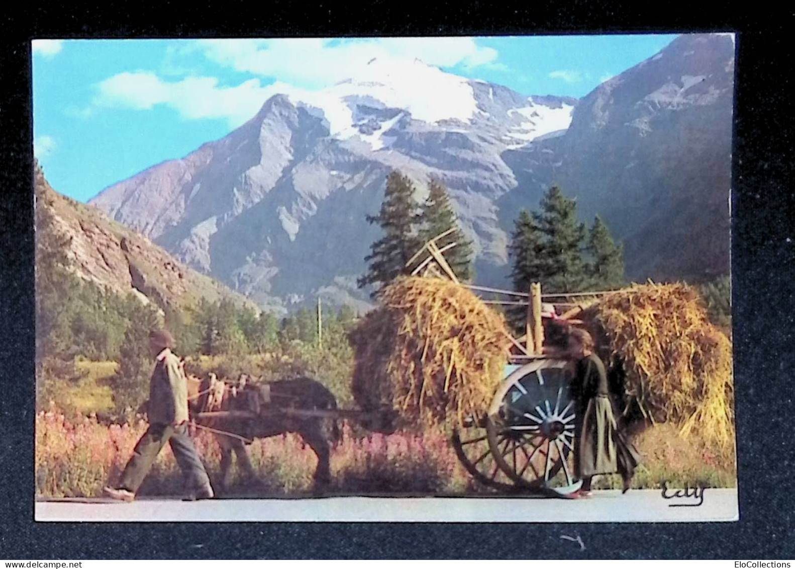 Cp, Agriculture, Cultures, Retour Des Foins, Attelage, Images De Chez Nous, écrite 1982 - Cultivation