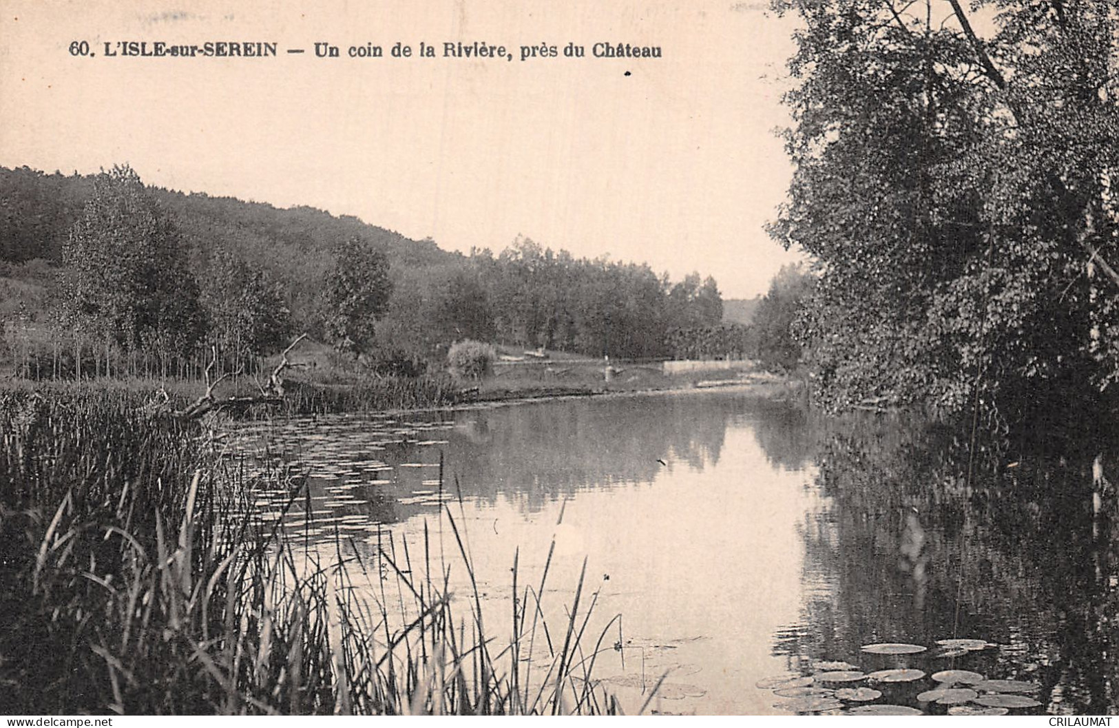 89-L ISLE SUR SEREIN-N°T5157-D/0257 - L'Isle Sur Serein