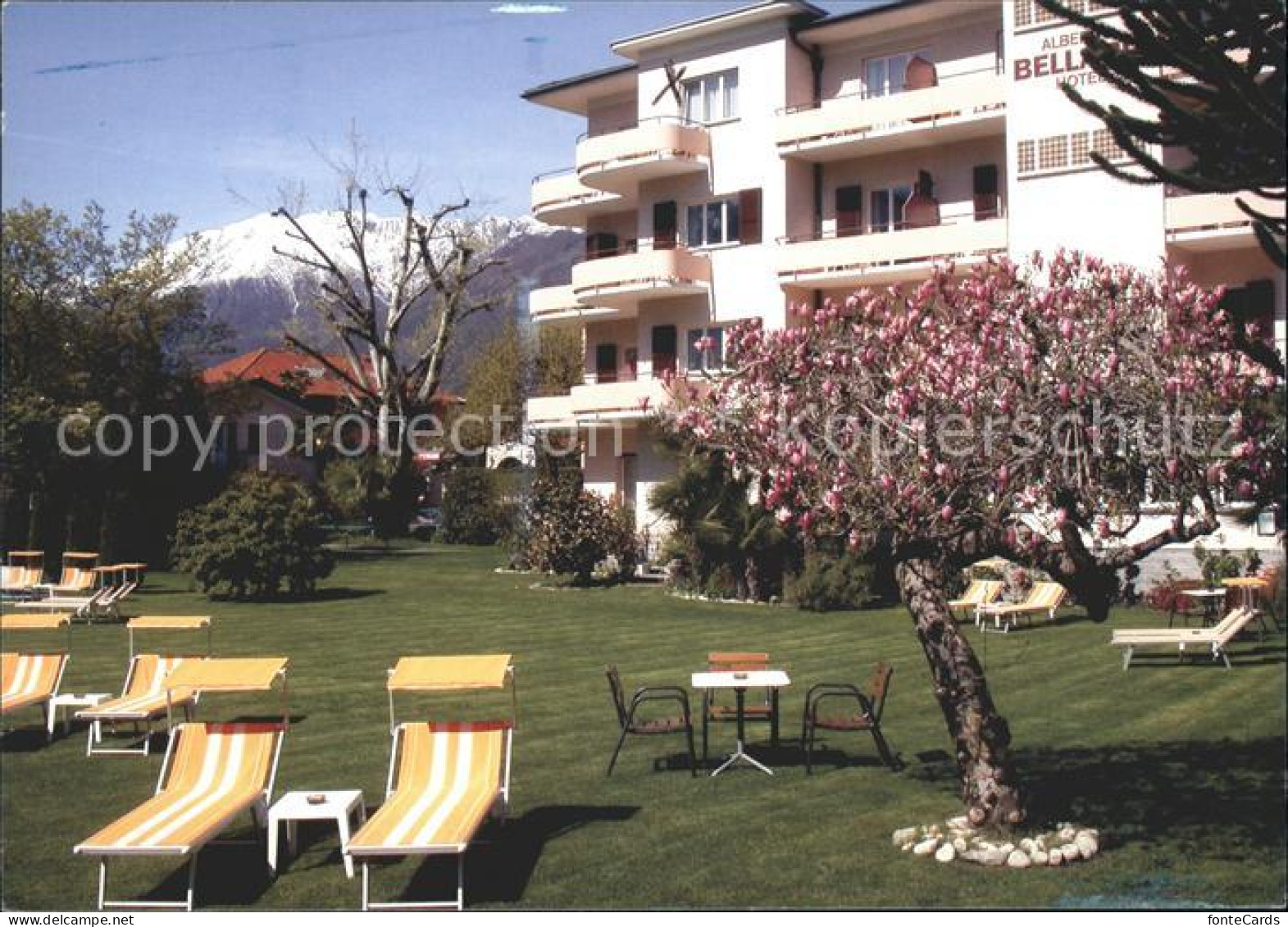 11713079 Ascona TI Hotel Bellaria Garten Ascona - Sonstige & Ohne Zuordnung