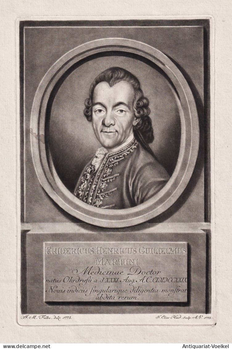 Fridericus Henricus Guilielmus Martini - Friedrich Martini (1729-1778) Naturforscher Mediziner Ohrdruf Berlin - Estampas & Grabados