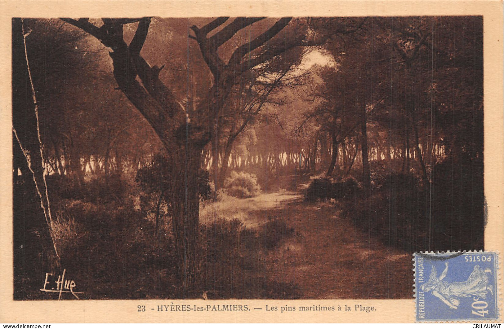 83-HYERES LES PALMIERS-N°T5159-C/0337 - Hyeres