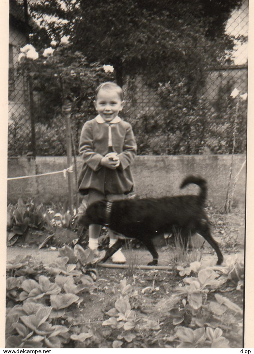 Photographie Photo Vintage Snapshot Enfant Child Chien Dog  - Other & Unclassified