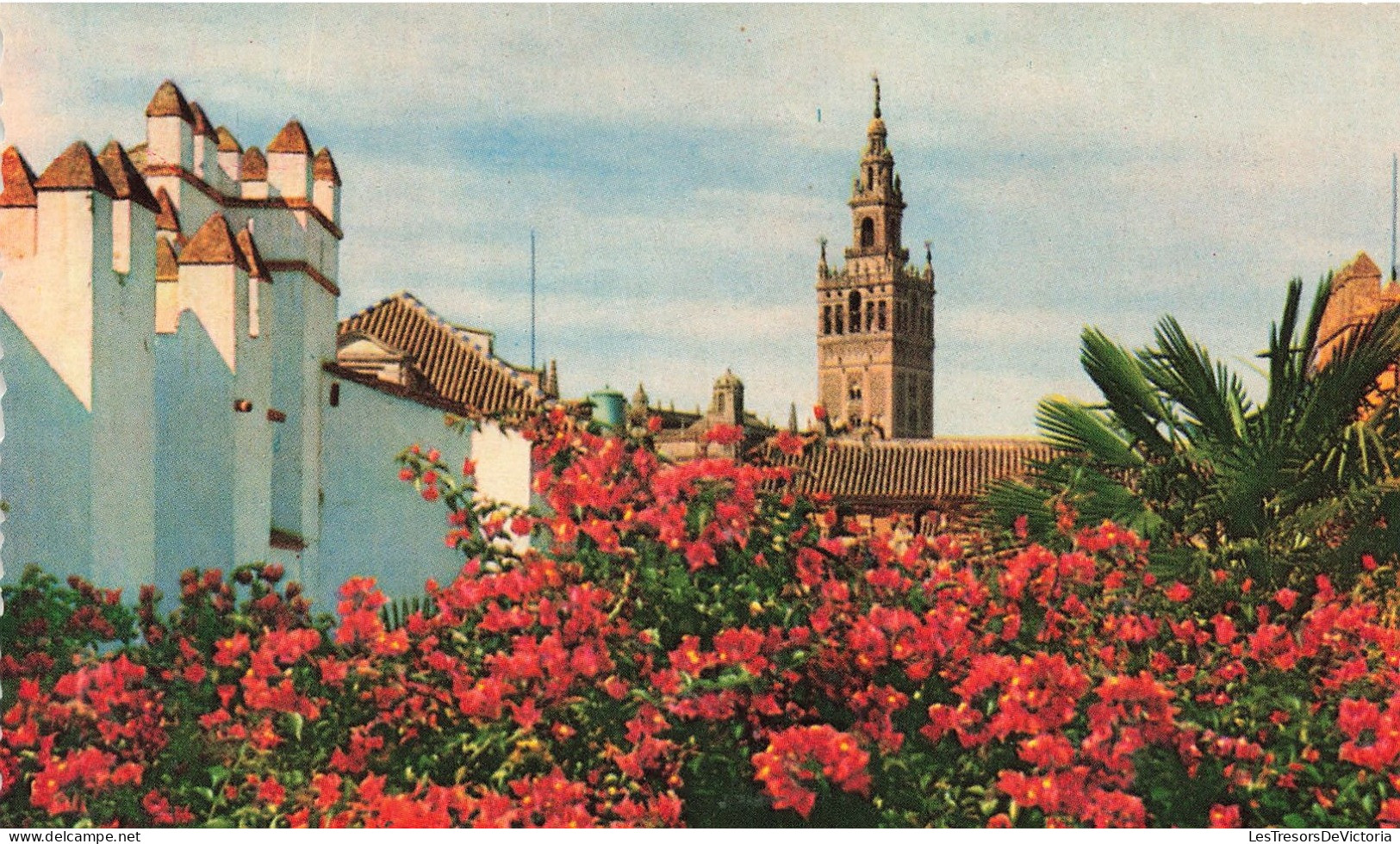 ESPAGNE - Sevilla - La Giralda Desde El Alcazar - Carte Postale - Sevilla (Siviglia)