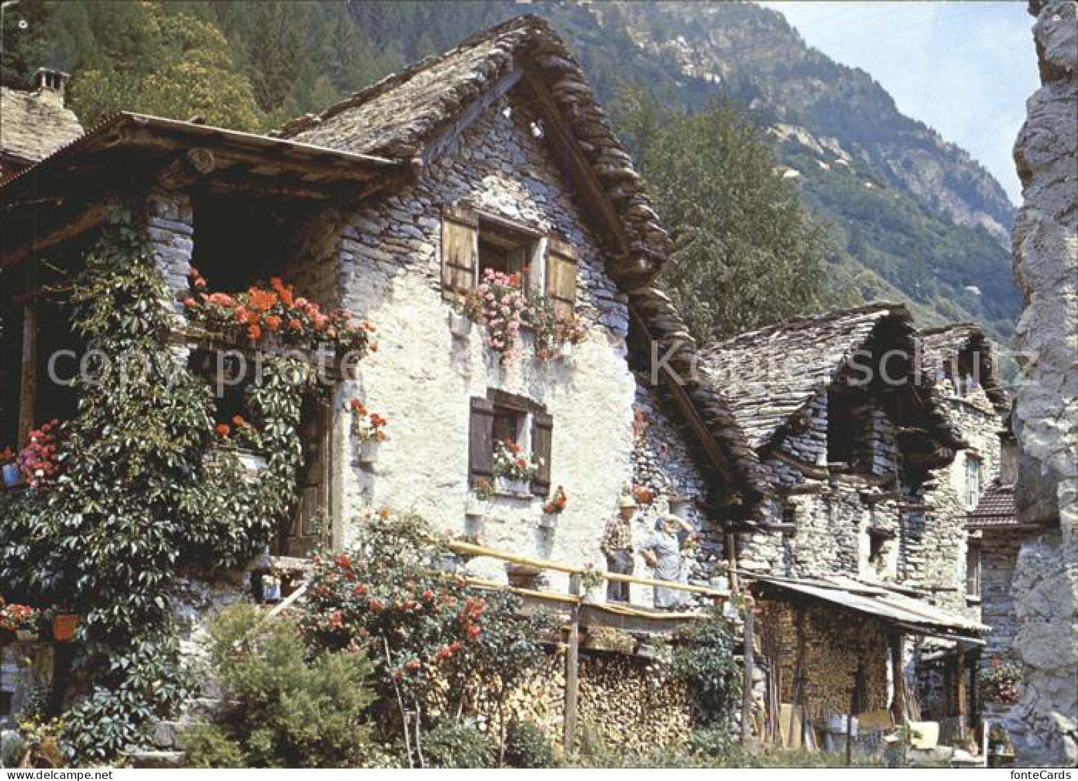 11704197 Sonogno Il Ticino Pittoresco Sonogno - Sonstige & Ohne Zuordnung