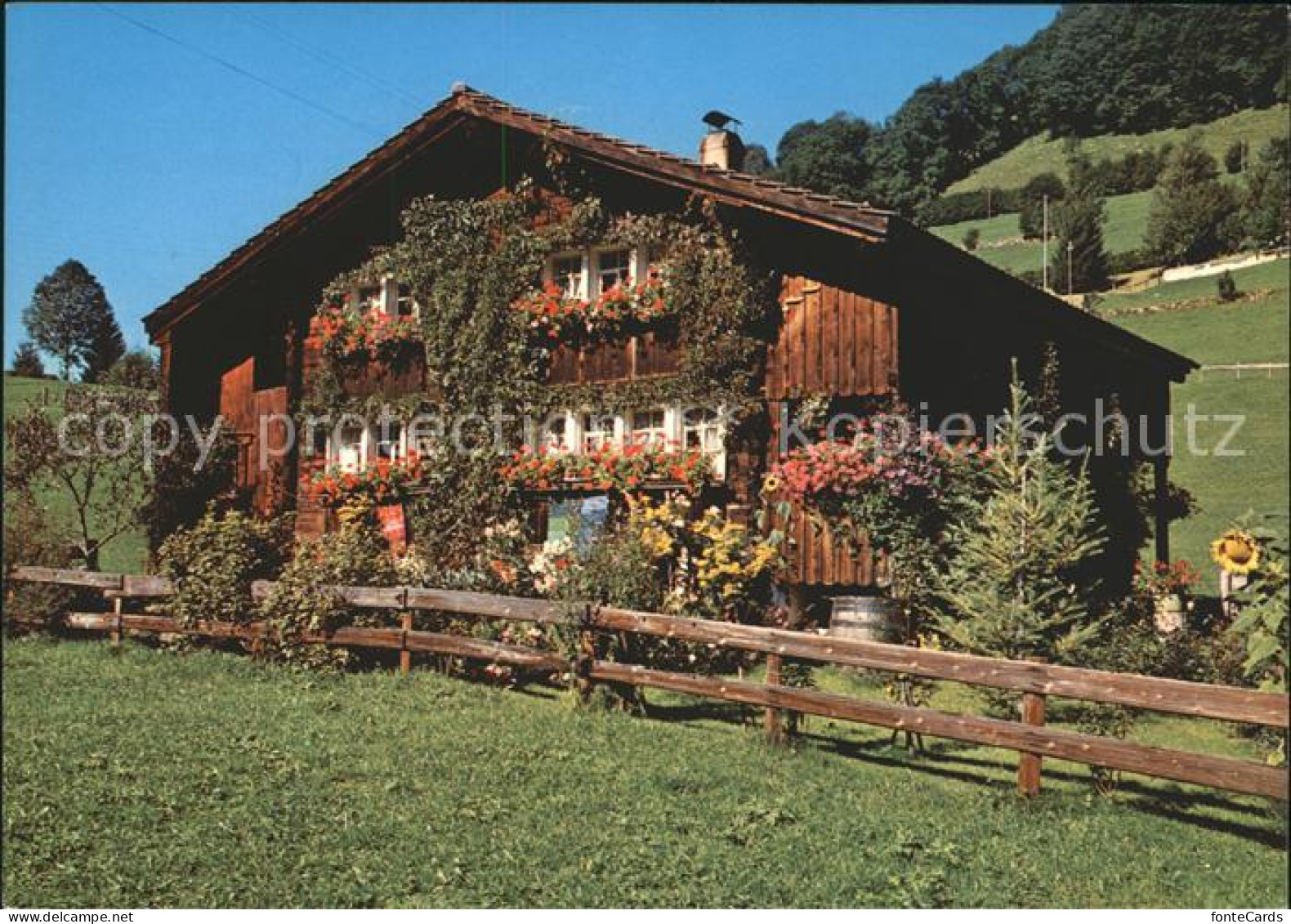 11694527 Toggenburg Toggenburger Bauernhaus Churfirsten - Andere & Zonder Classificatie