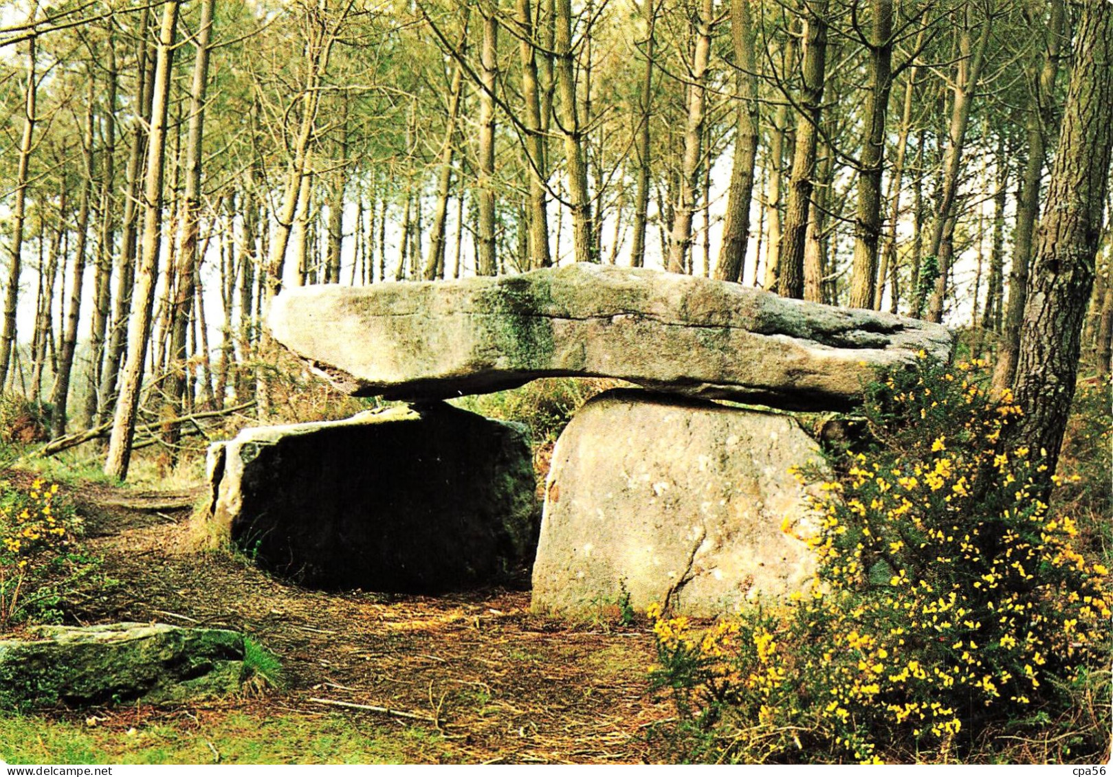 RIANTEC - DOLMEN De KERPOREL - N°14 Caoudal - Autres & Non Classés