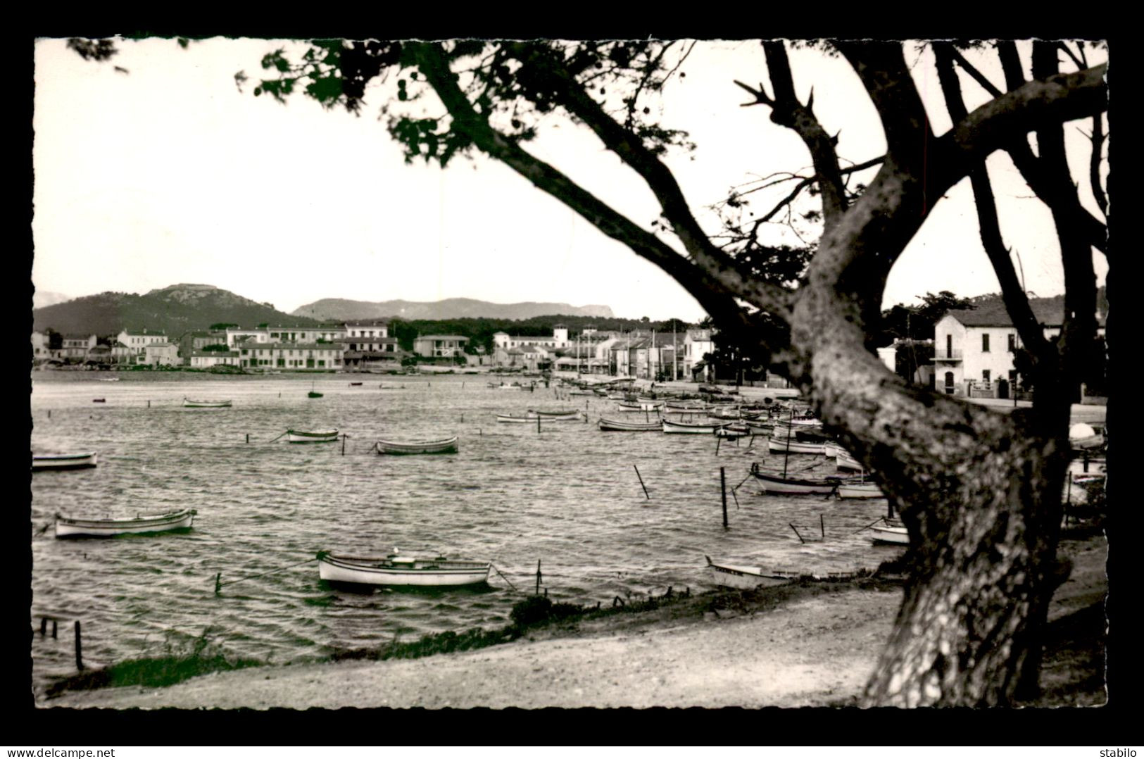 83 - SIX-FOURS-LES-PLAGES - LE BRUSC - Six-Fours-les-Plages