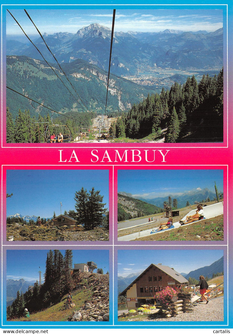 74-SEYTHENEX MASSIF DE LA SAMBUY-N°4211-D/0379 - Autres & Non Classés