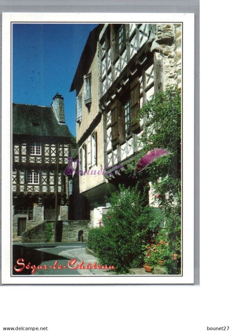 SEGUR LE CHATEAU 19 - Maisons Avec Façade Ancienne Maison Henri IV - Sonstige & Ohne Zuordnung