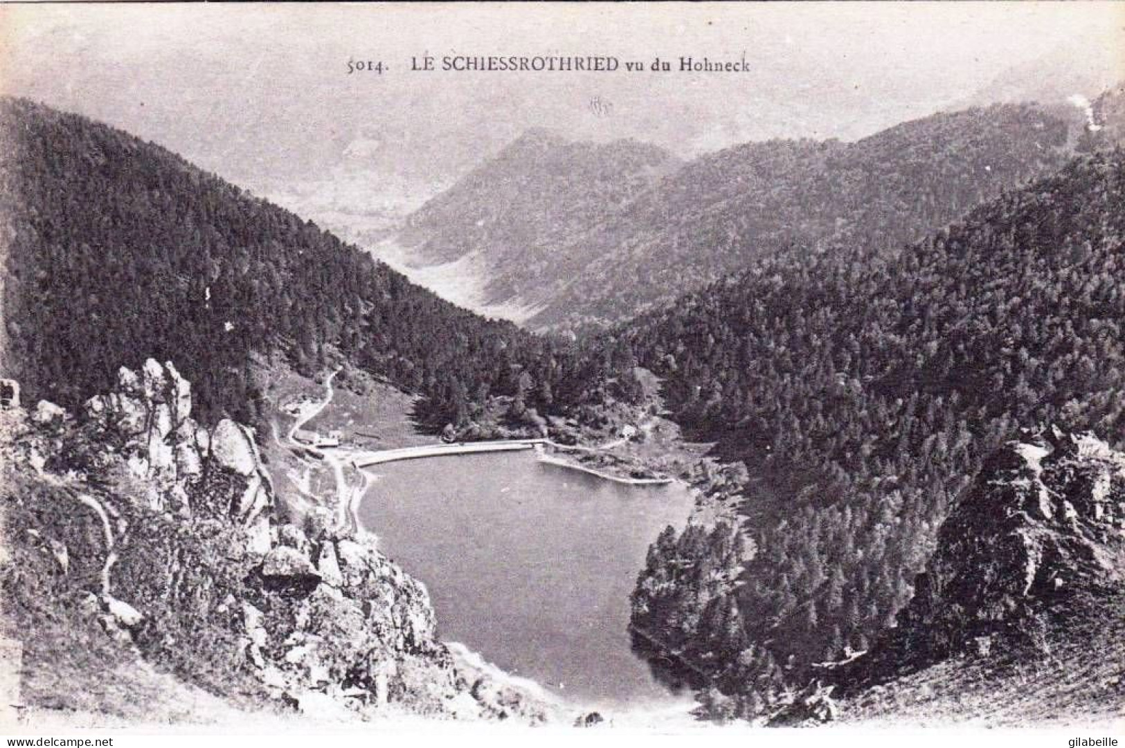 68  - Haut Rhin -  Le SCHIESSROTHRIED Vu Du Hohneck - Otros & Sin Clasificación