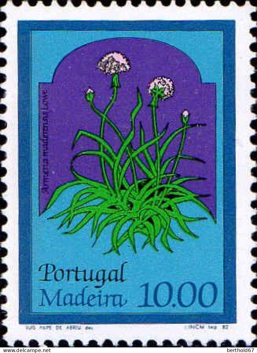 Madère Poste N** Yv: 84 Mi:79 Armeria Maderensis Lowe - Madeira