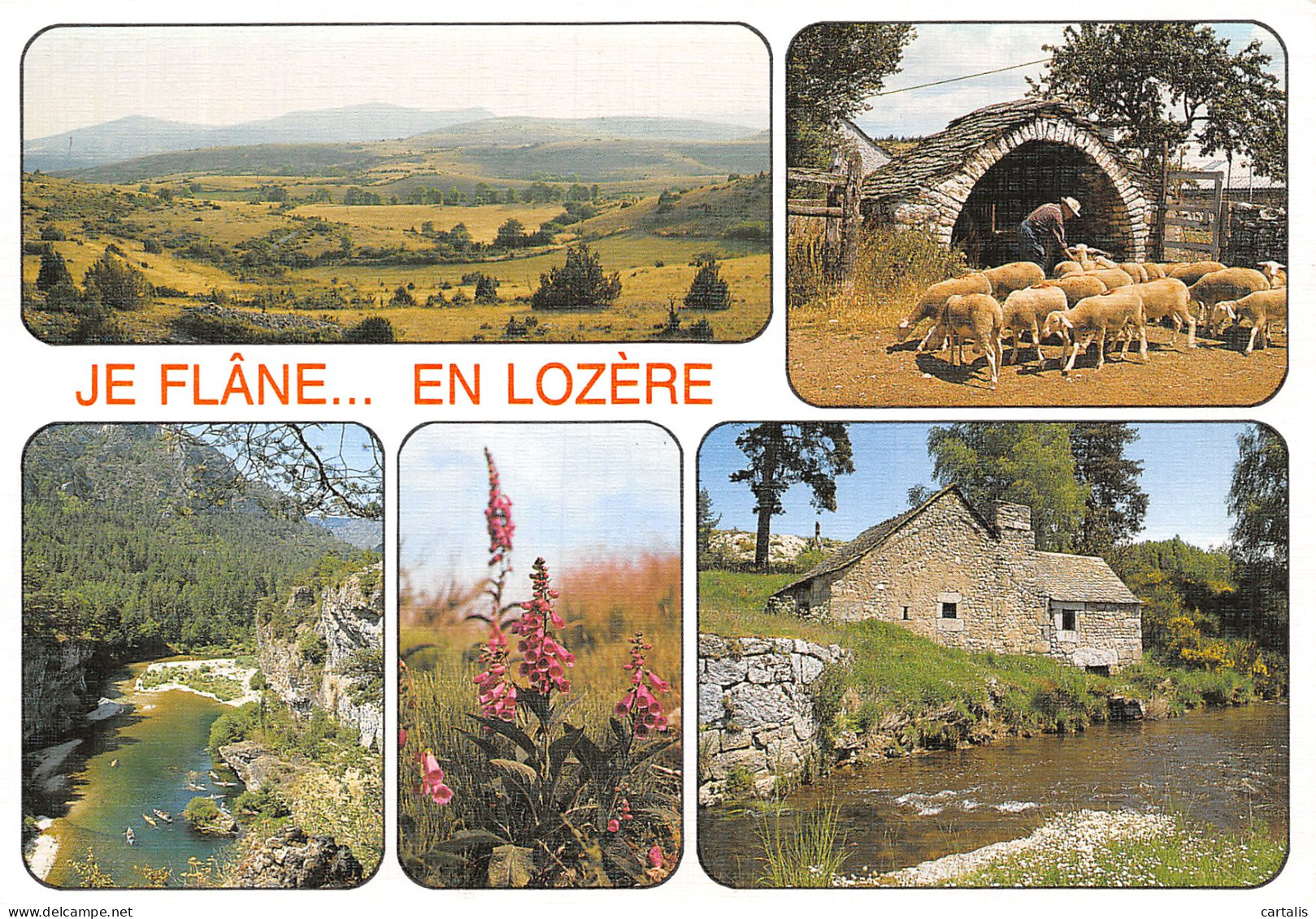 48-LOZERE-N°4212-A/0231 - Autres & Non Classés